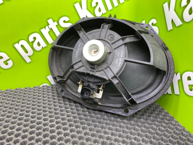 Динамик, 1000 рублей, Калининград