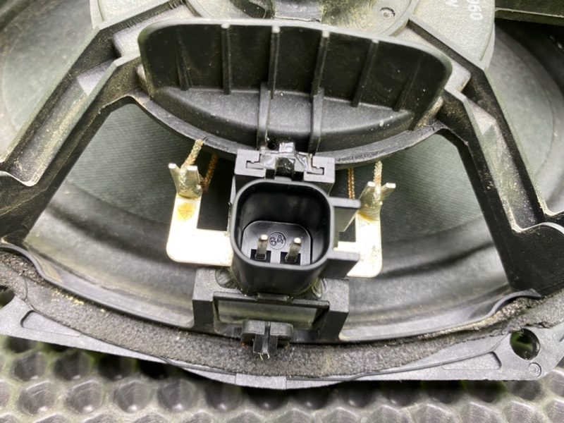 Динамик, 1000 рублей, Калининград