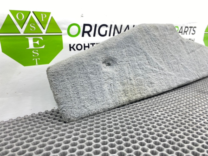 Накладка консоли, 1000 рублей, Калининград