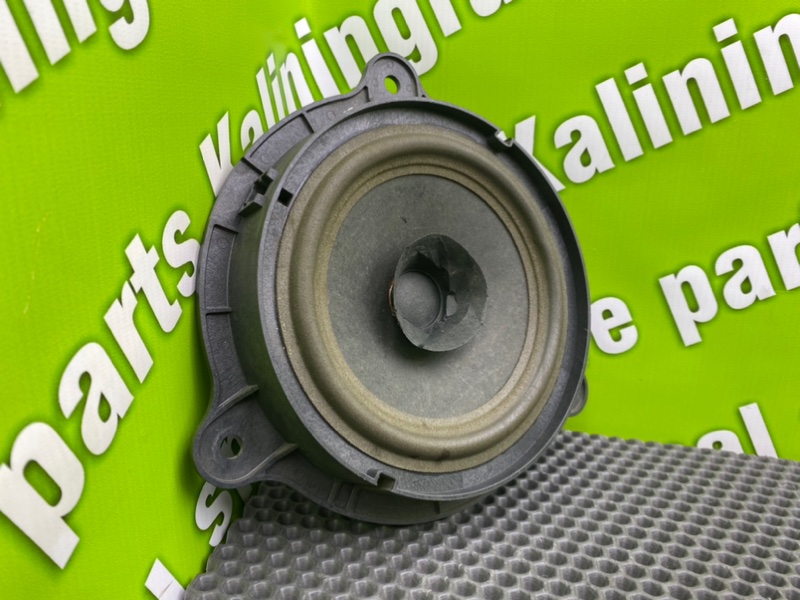 Динамик, 1100 рублей, Калининград