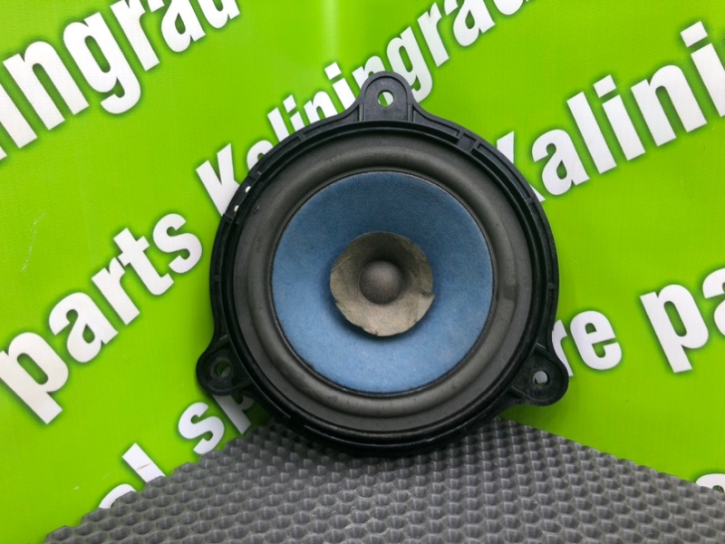 Динамик, 600 рублей, Калининград