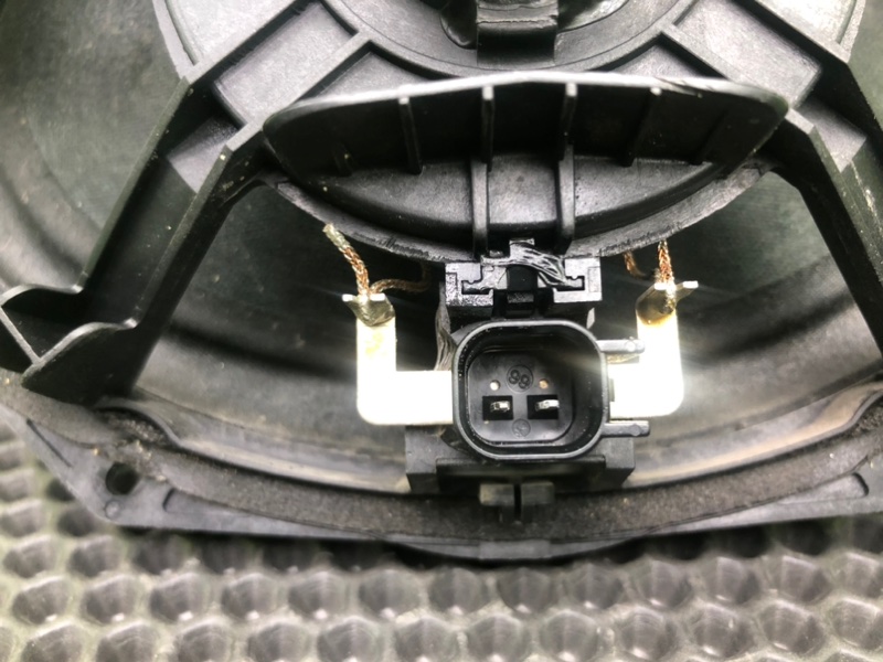 Динамик, 1000 рублей, Калининград