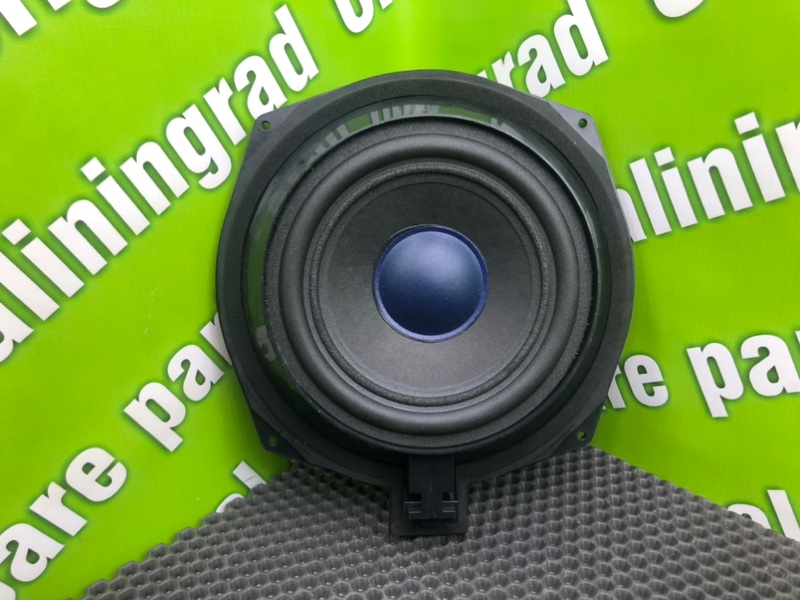 НЧ-Динамик, 1600 рублей, Калининград