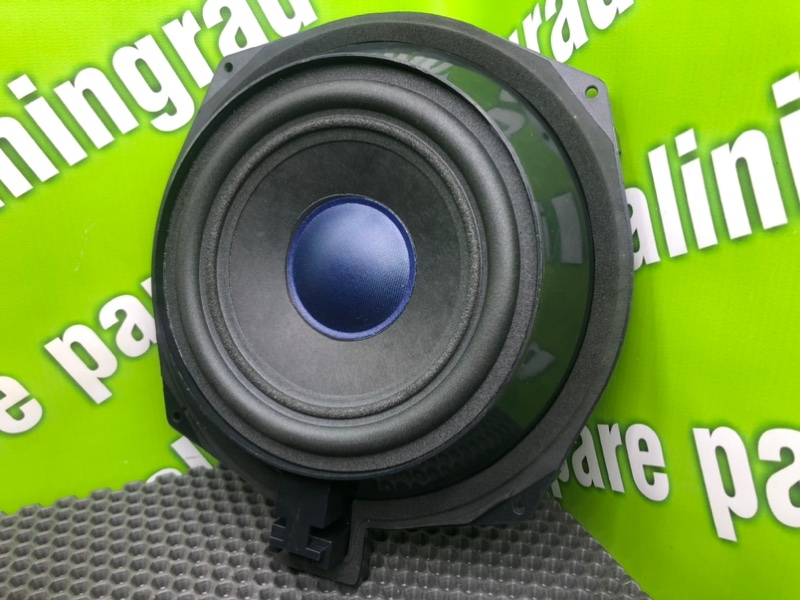 НЧ-Динамик, 1600 рублей, Калининград