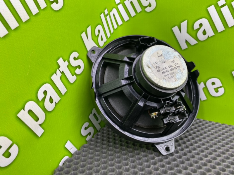 Динамик, 1100 рублей, Калининград