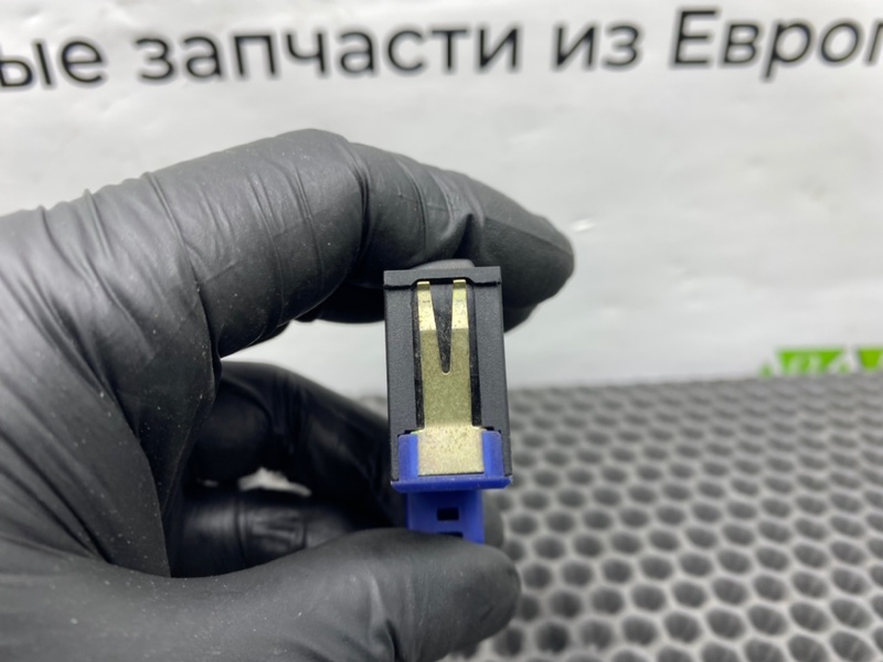 Кнопка, 900 рублей, Калининград