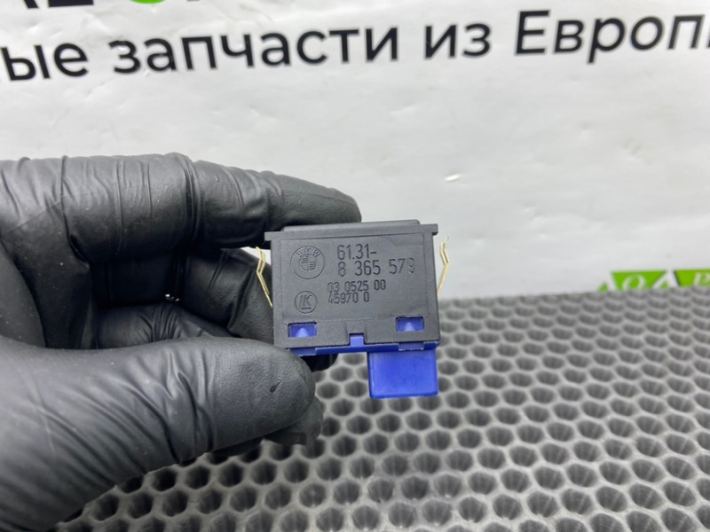 Кнопка, 900 рублей, Калининград