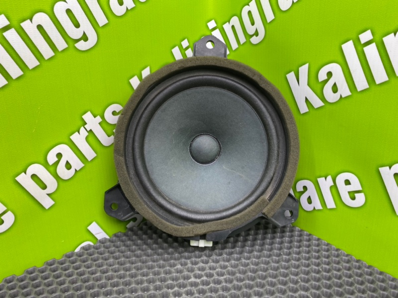 Динамик, 1200 рублей, Калининград