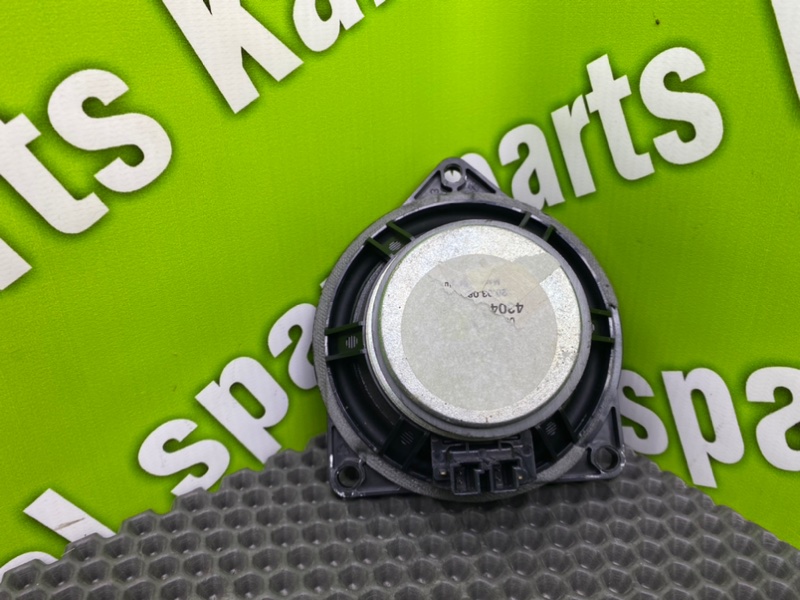 Динамик, 1000 рублей, Калининград