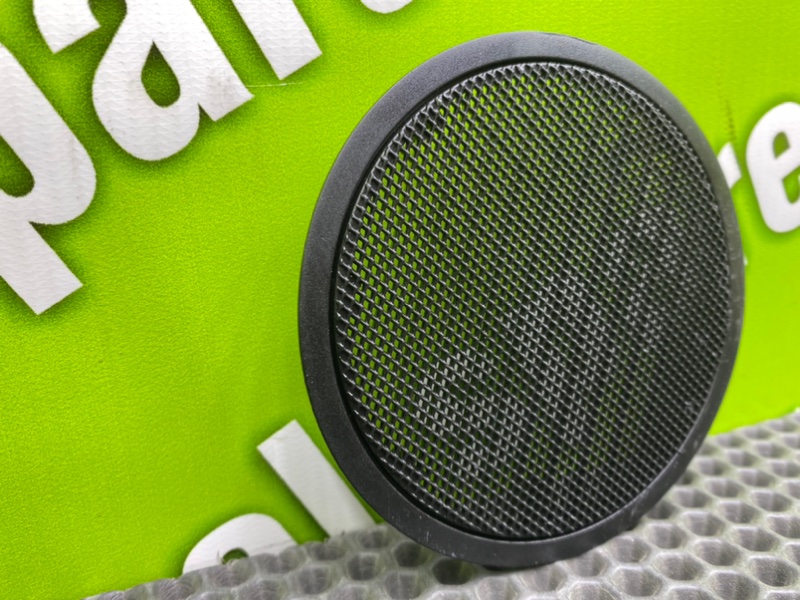 Крышка динамика, 1000 рублей, Калининград