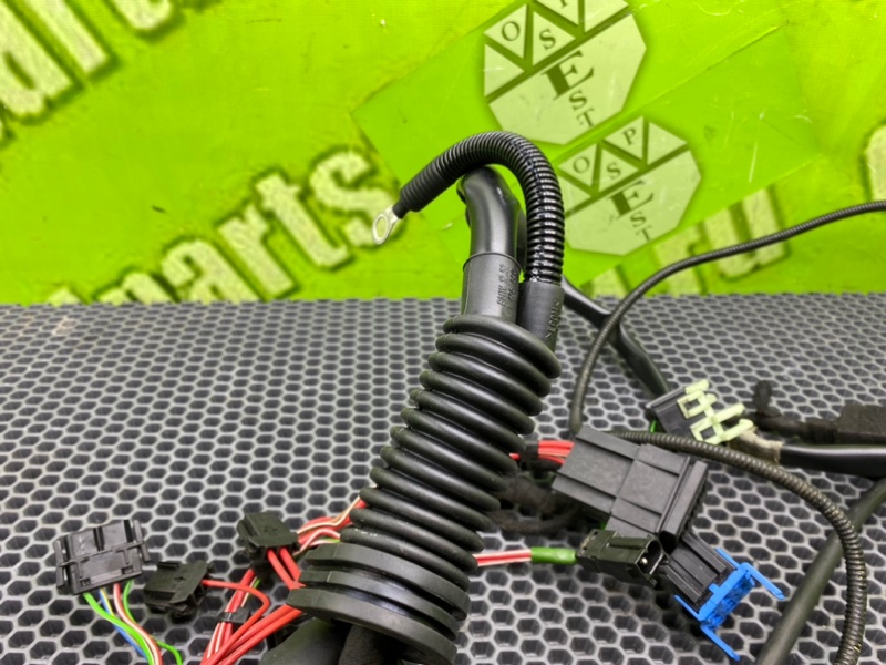 Коса мотора, 2400 рублей, Калининград