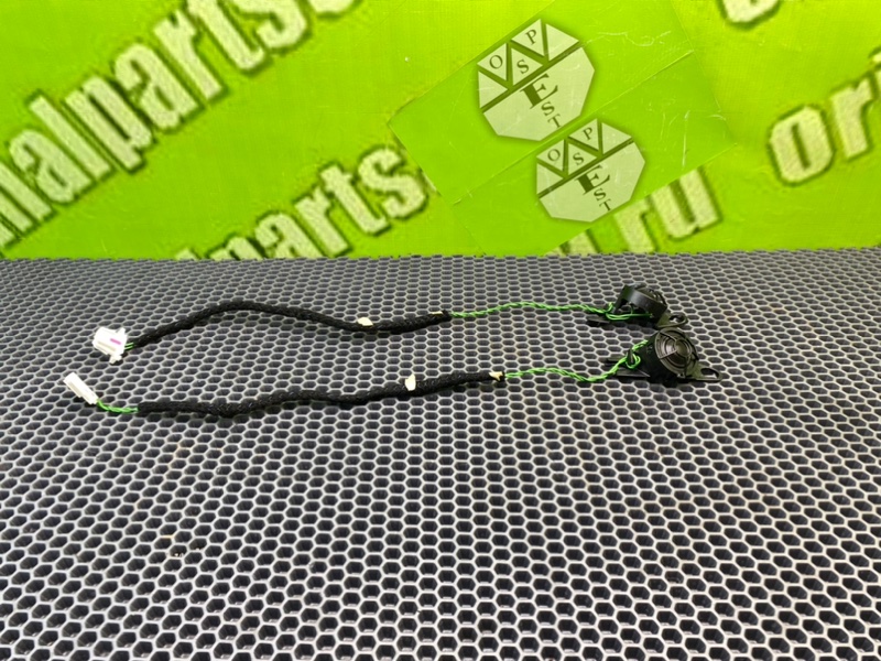 Твитеры, 1200 рублей, Калининград