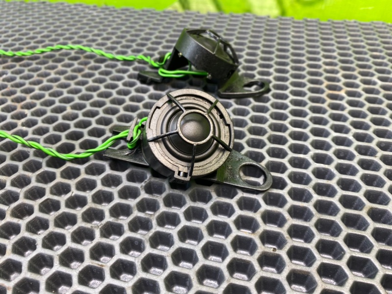 Твитеры, 1200 рублей, Калининград