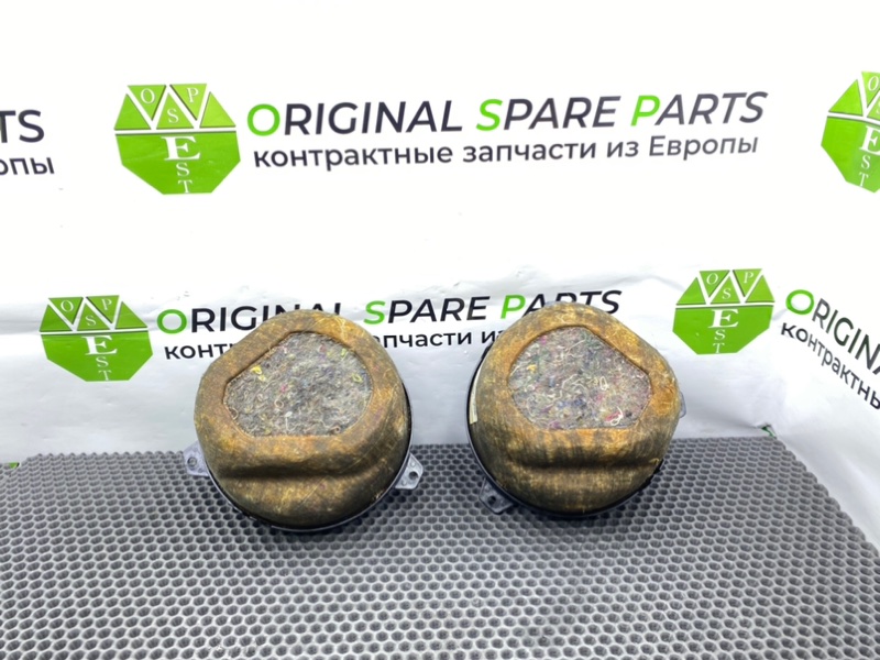 Динамики, 1600 рублей, Калининград