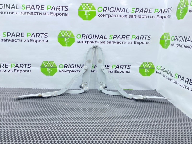 Петли багажника, 1200 рублей, Калининград