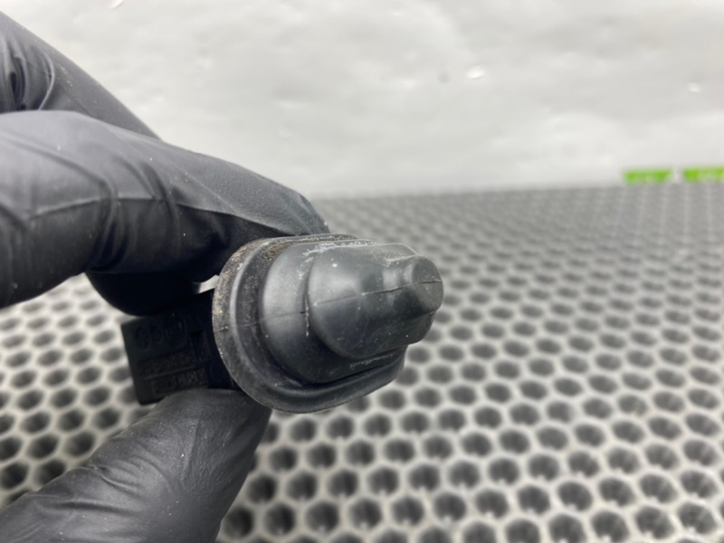 Кнопка, 1100 рублей, Калининград