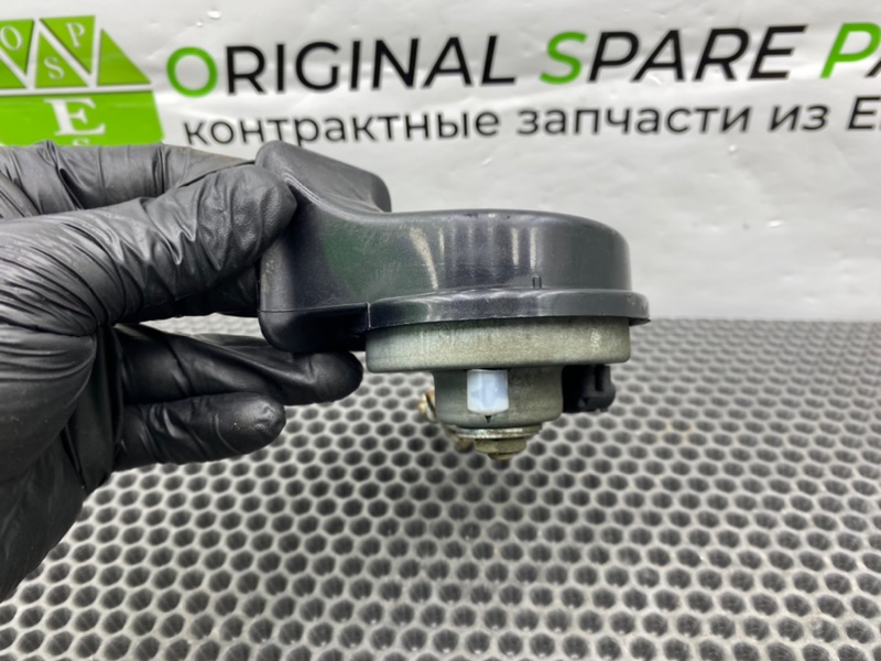 Звуковой сигнал, 1100 рублей, Калининград