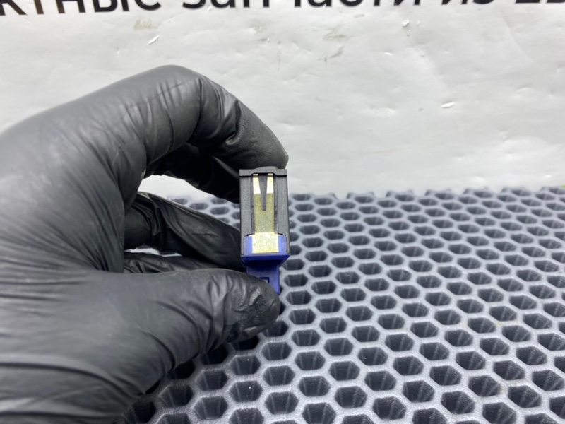 Кнопка, 900 рублей, Калининград