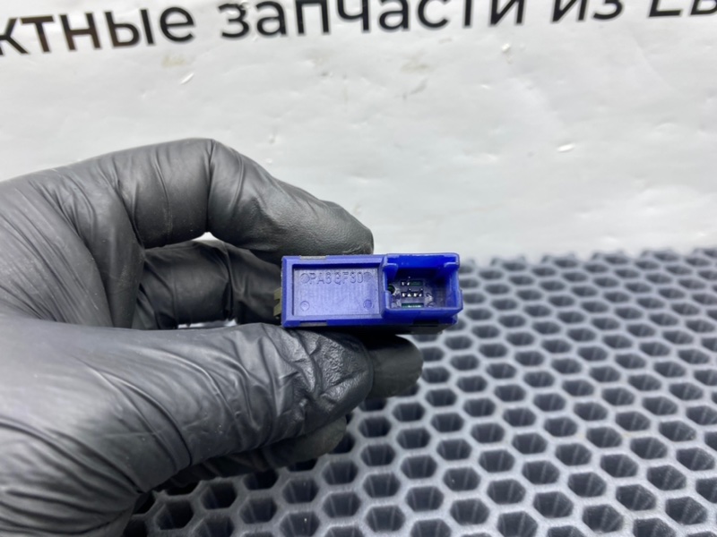 Кнопка, 900 рублей, Калининград