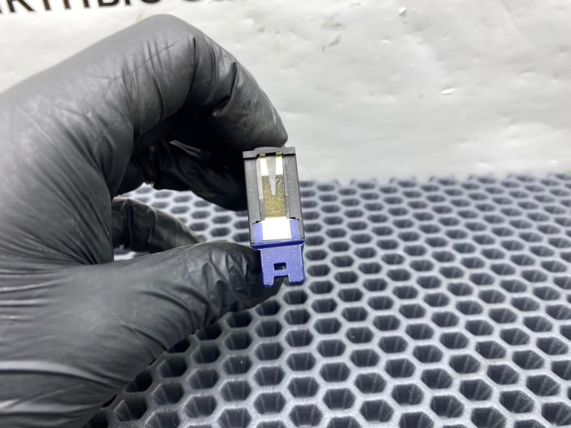 Кнопка, 900 рублей, Калининград