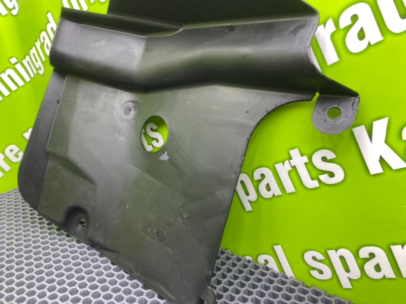 Защита, 700 рублей, Калининград