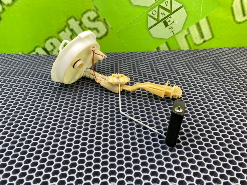 Дут, 1600 рублей, Калининград