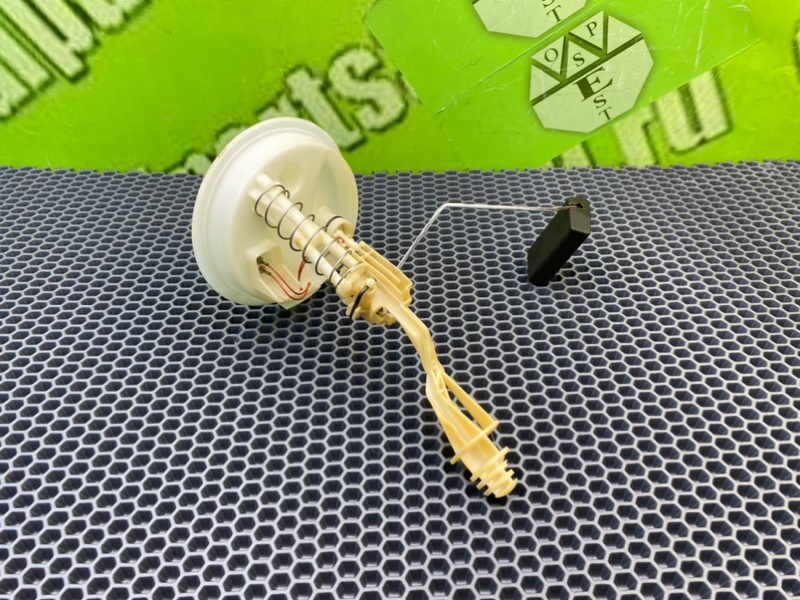 Дут, 1600 рублей, Калининград