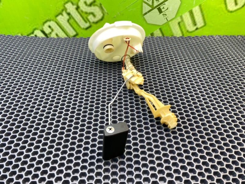 Дут, 1600 рублей, Калининград