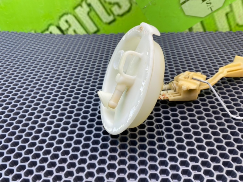 Дут, 1600 рублей, Калининград