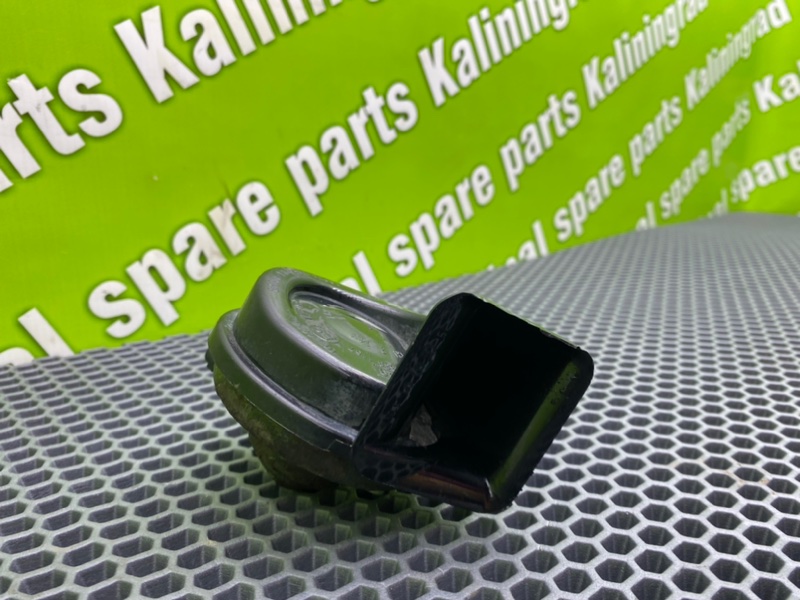 Звуковой сигнал, 900 рублей, Калининград