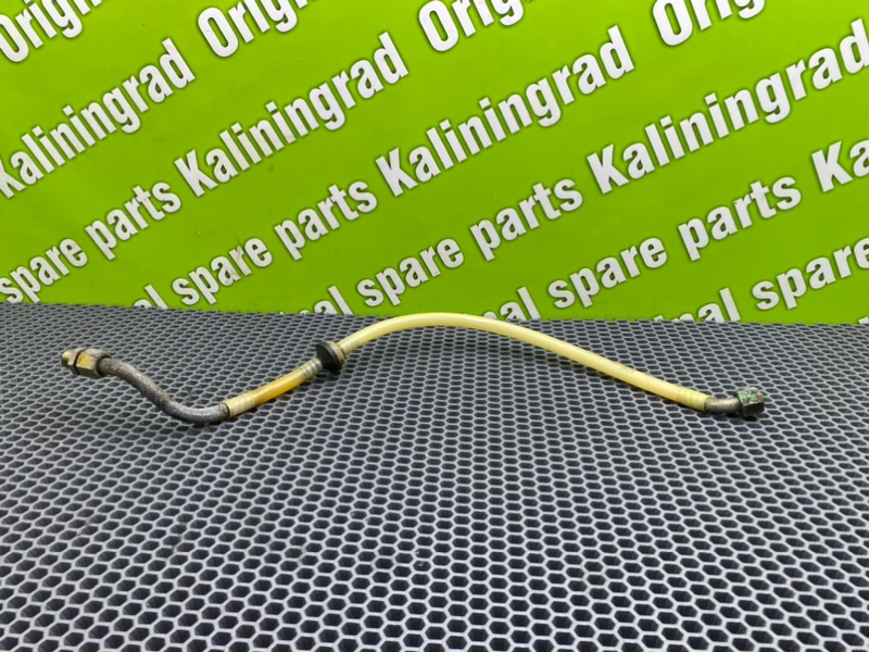 Трубка Гтц, 1000 рублей, Калининград