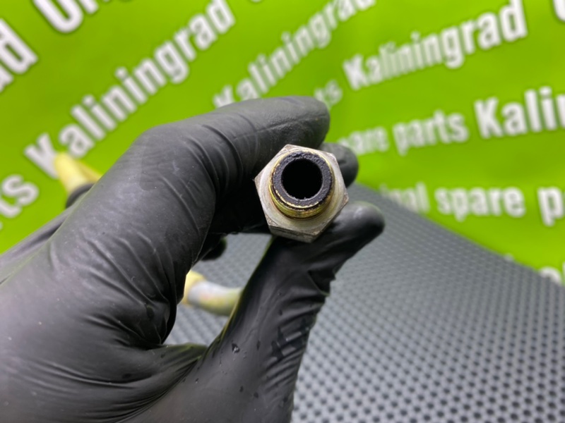 Трубка Гтц, 1000 рублей, Калининград