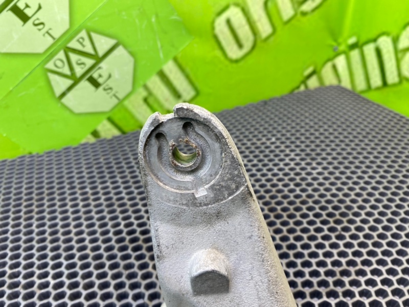 Лапа опоры, 1000 рублей, Калининград