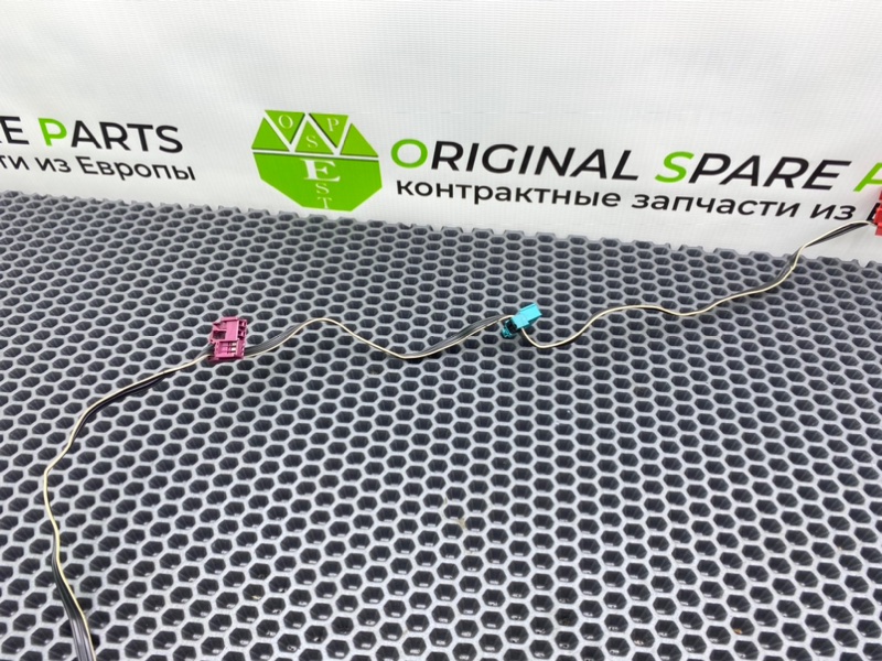 Проводка, 2000 рублей, Калининград