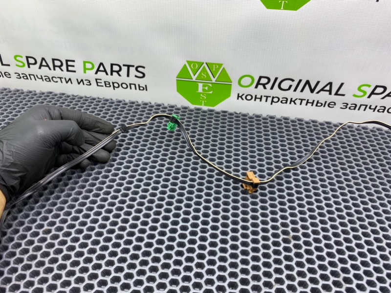 Проводка, 2000 рублей, Калининград