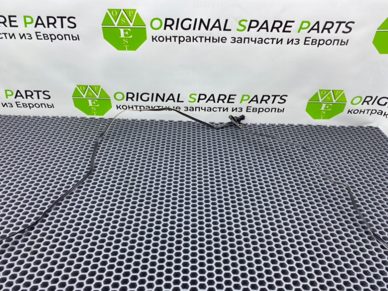 Проводка, 2000 рублей, Калининград