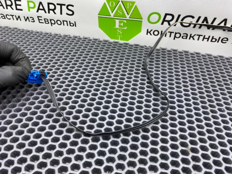 Проводка, 2000 рублей, Калининград