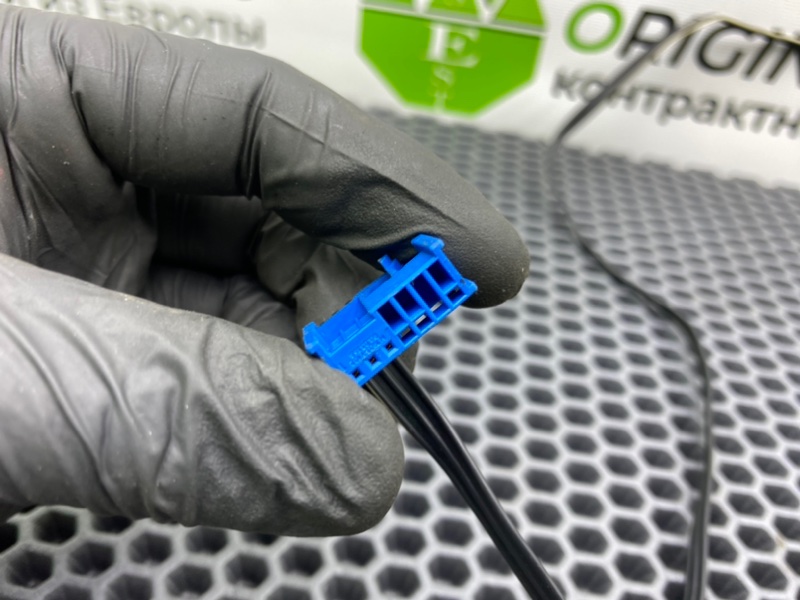 Проводка, 2000 рублей, Калининград