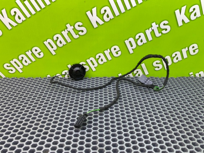 Динамик высокочастотный, 1000 рублей, Калининград