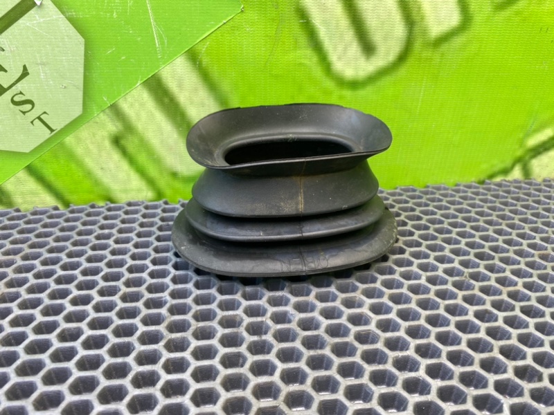 Пыльник, 500 рублей, Калининград