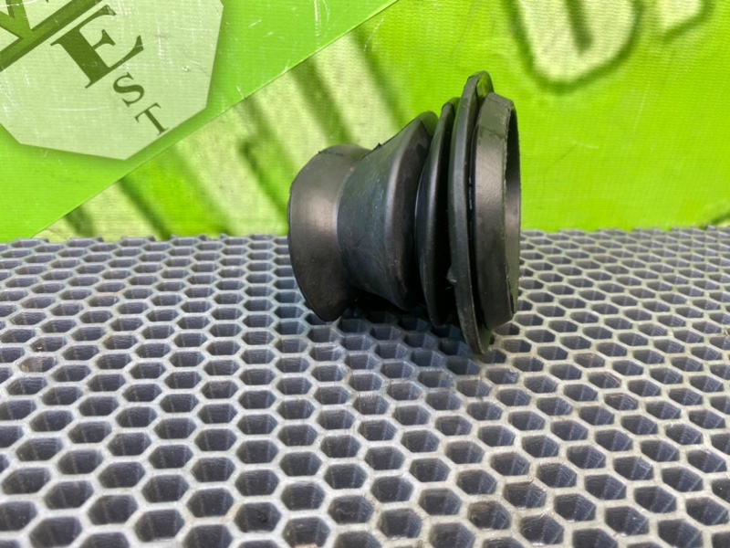 Пыльник, 500 рублей, Калининград