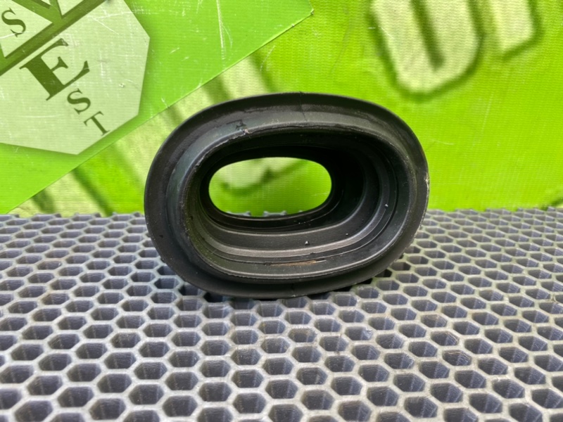 Пыльник, 500 рублей, Калининград