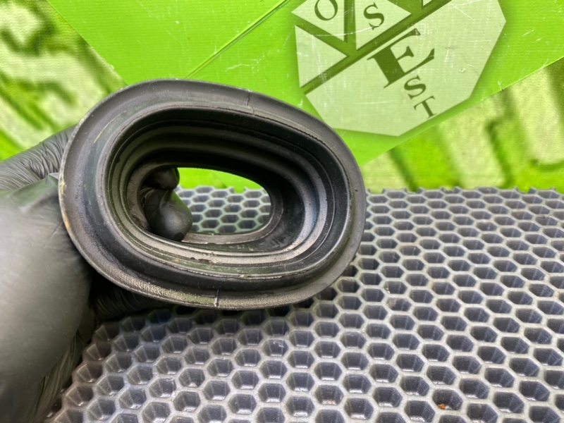 Пыльник, 500 рублей, Калининград