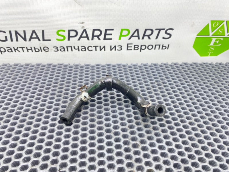 Трубка, 800 рублей, Калининград