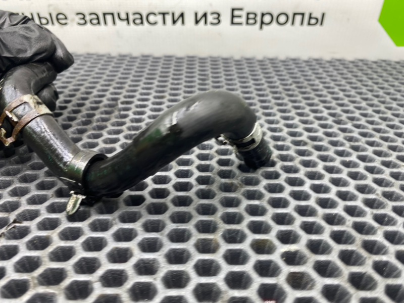 Трубка, 800 рублей, Калининград