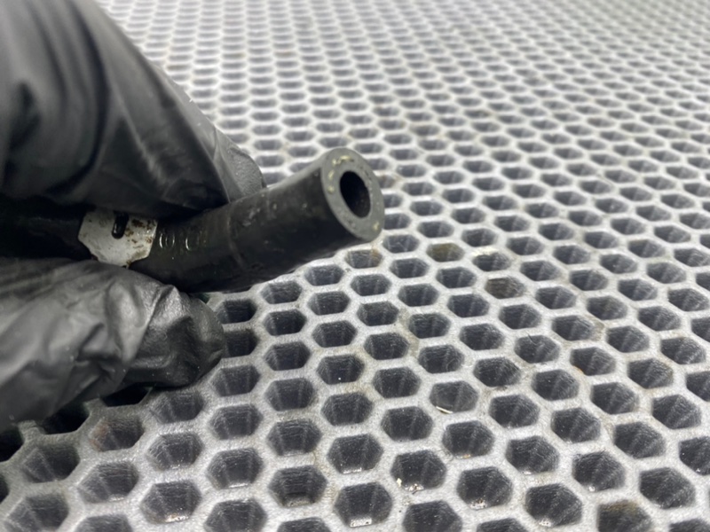 Трубка, 800 рублей, Калининград