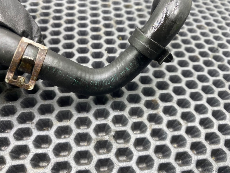 Трубка, 800 рублей, Калининград