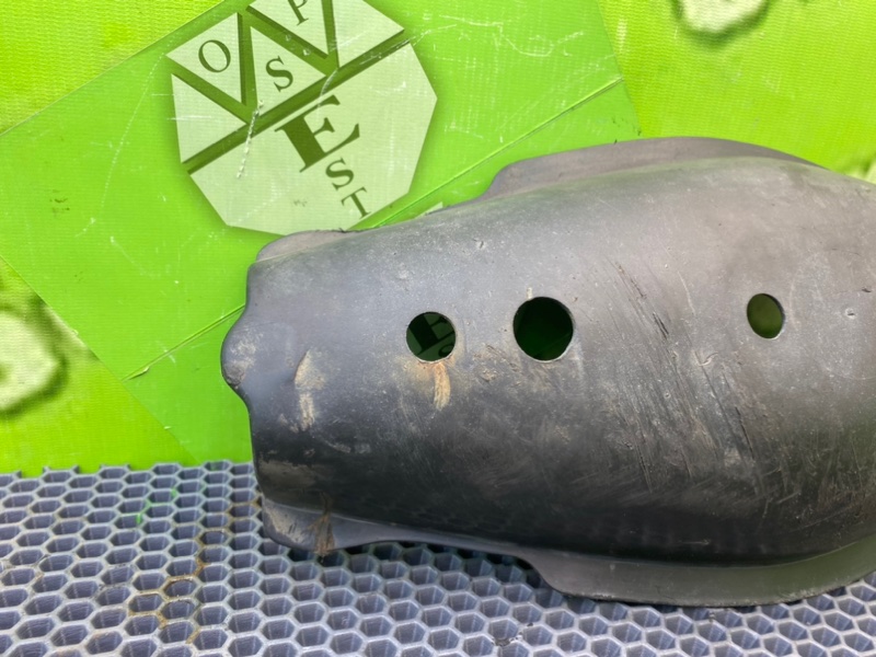 Защита, 1000 рублей, Калининград