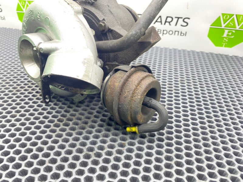 Турбина, 12300 рублей, Калининград