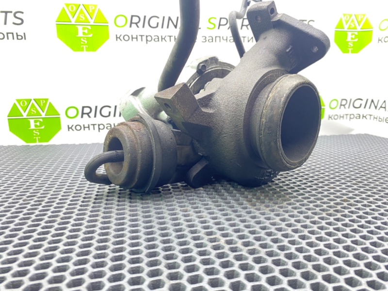 Турбина, 12300 рублей, Калининград